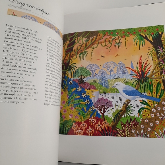 FRENCH BOOK + LITHOGRAPH Signed Alain Thomas Les Oiseaux d'Amerique du Sud Birds - Picture 12 of 14